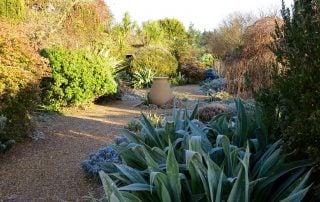 Circle in the Walled Garden -- Before